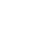 logo insst