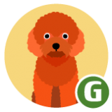 ico guía peluqueria canina