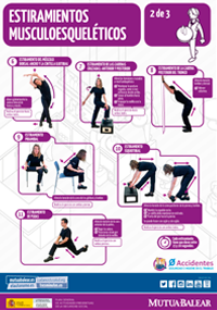 Póster de estiramientos musculoesqueléticos