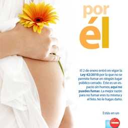 Sin humos 05