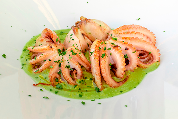 Imagen receta