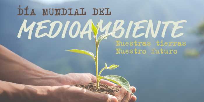 Mutua Balear